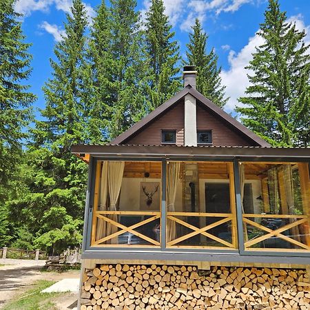 Black Lake Chalet Zabljak  Exterior photo
